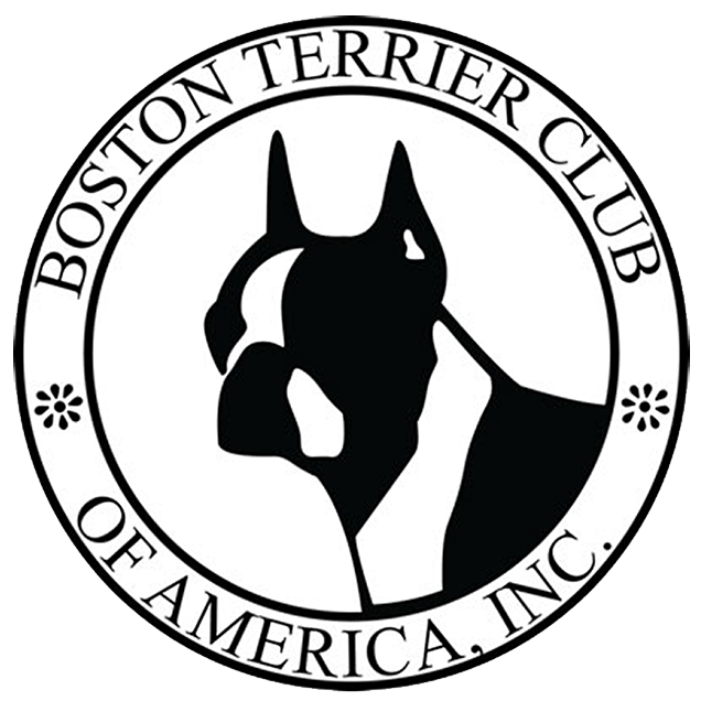 Boston-terrier-club-of-america