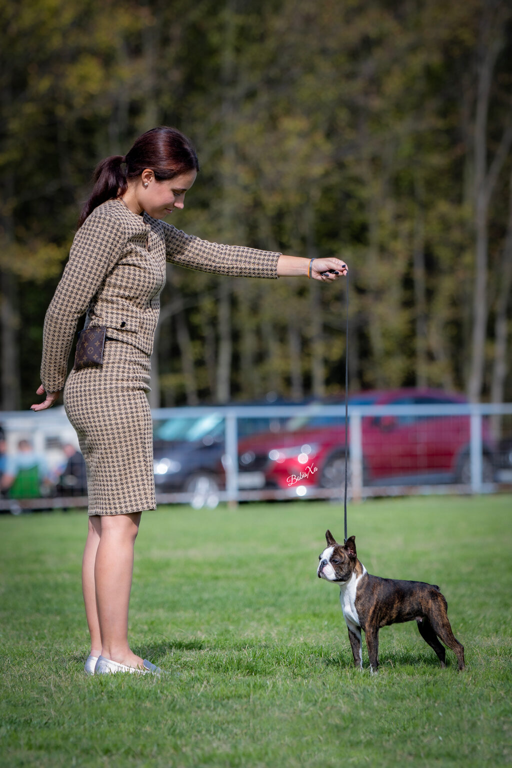 Autumn-Dog-Show-Gradačac-Bosnia-Herzegovina