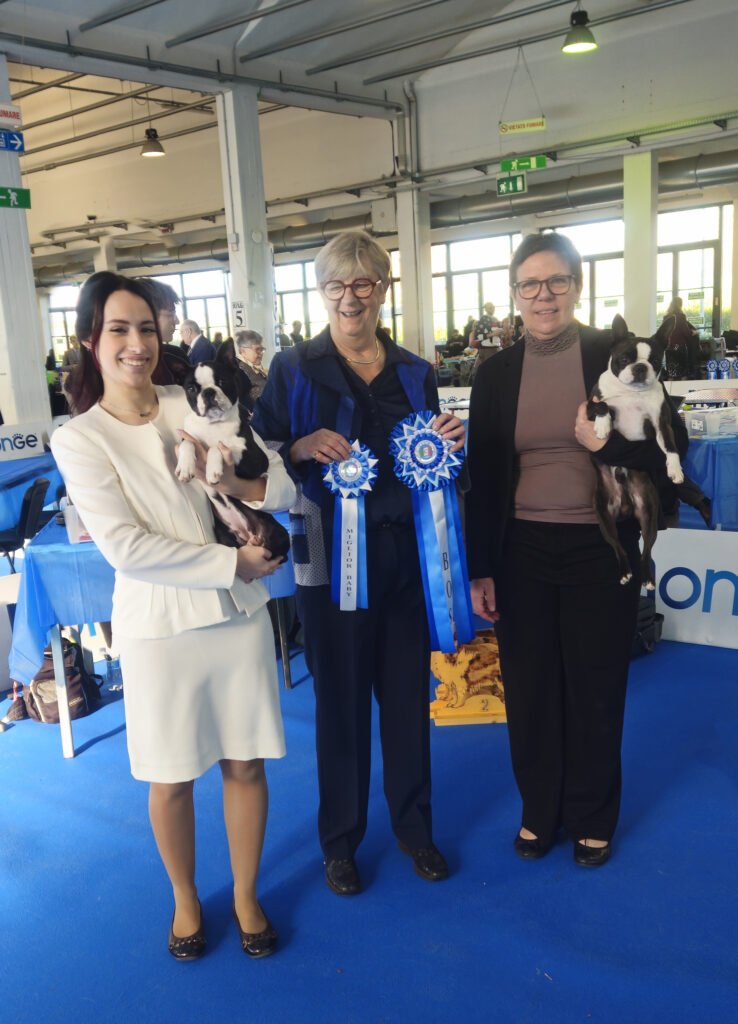 Special-premier-cani-da-compagnia