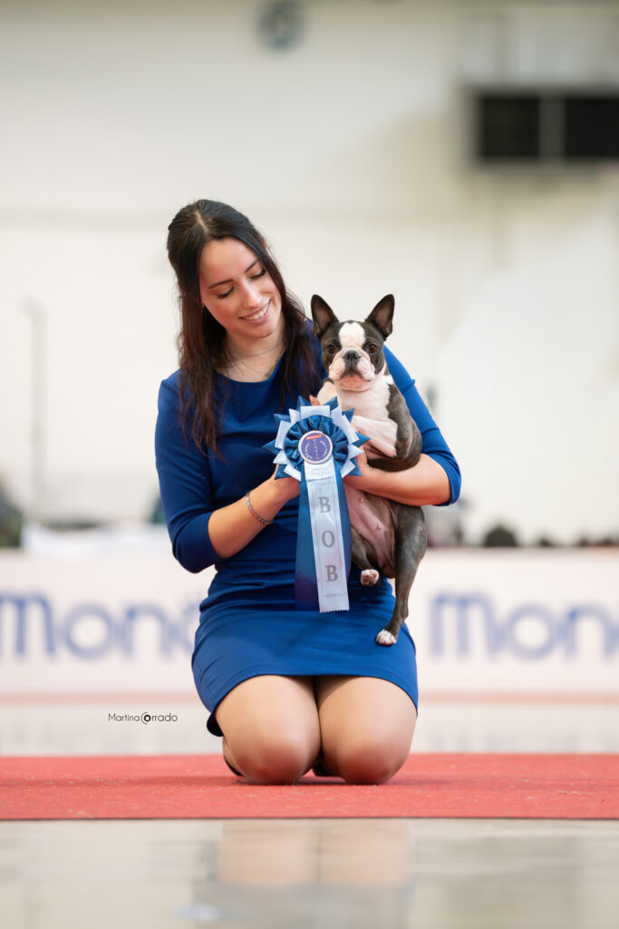 BOB-Speciale-romagna-winner