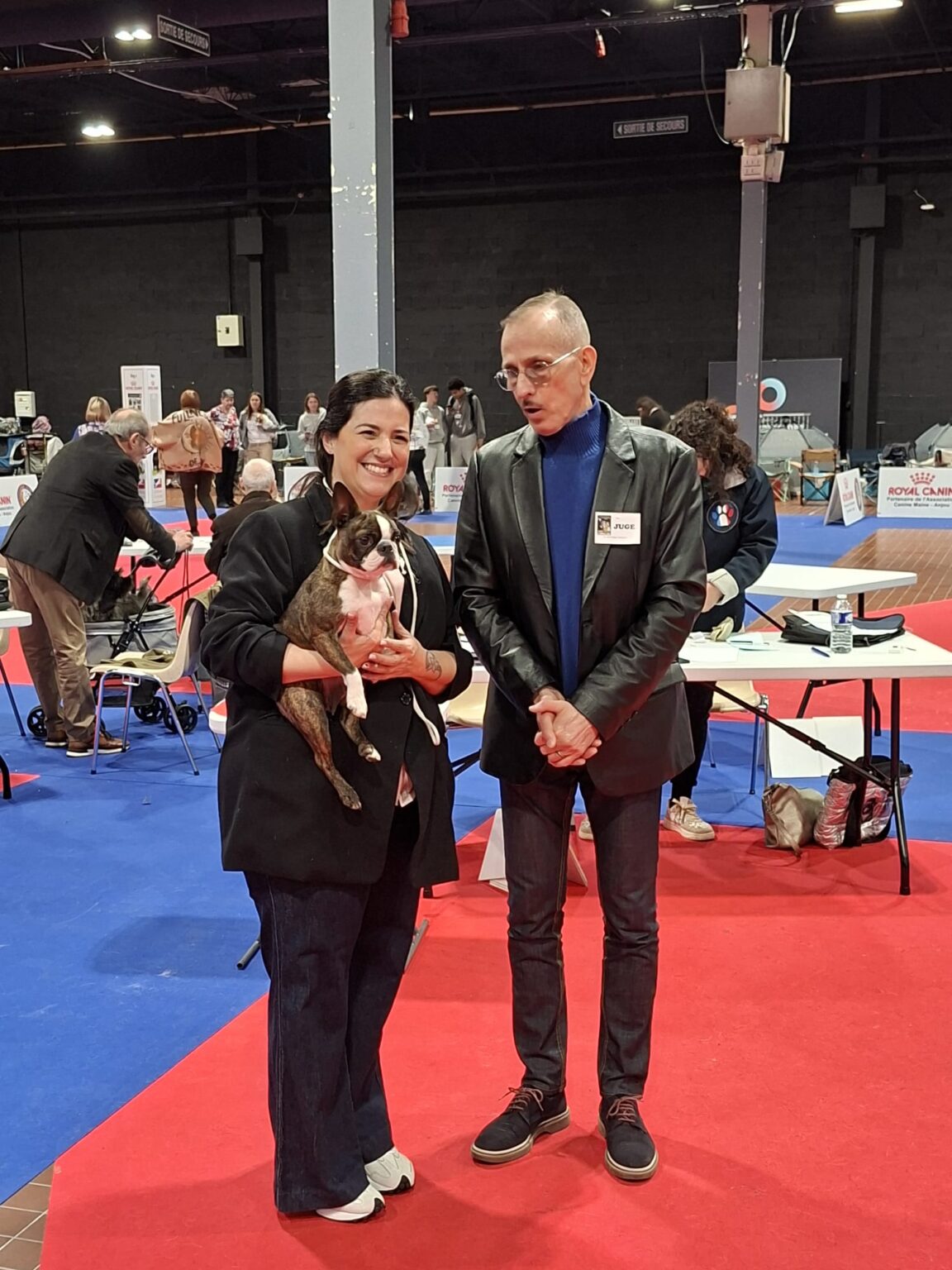 CACIB-ANGERS-FRANCE-BOSTON-TERRIER-DARINGLY-GLORIA