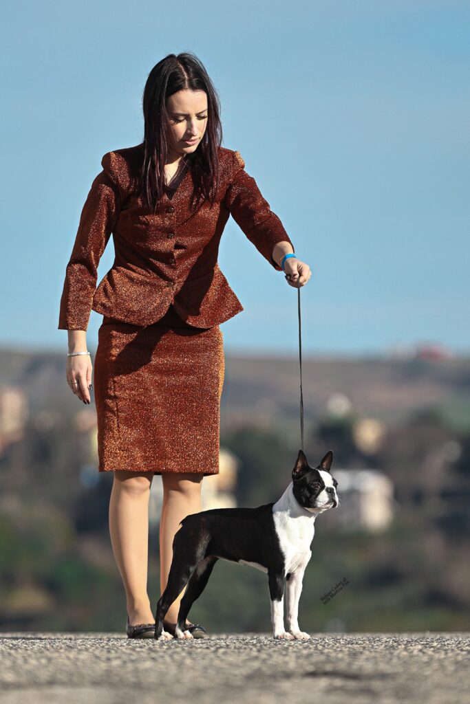 SanMarino-cacib-Ale-Scarlett