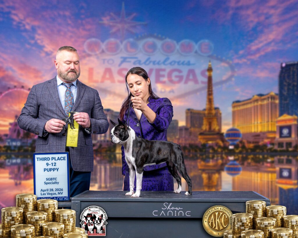 DARINGLY-JUST-A-SASSY-GIRL-BTCA-Vegas-2026-judege-Jasone-Hoke